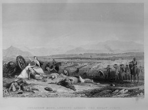 Culloden Moor, vue sur le Moray Firth, 1746, gravé par H. Griffiths, c.1830